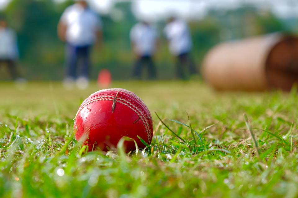 Physio Cricket injuries